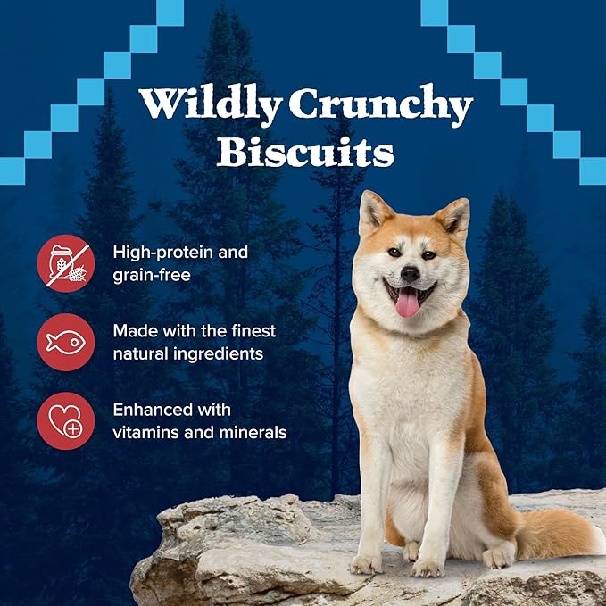 Blue Buffalo Wilderness Trail Treats High Protein Grain Free Dog Biscuits Crunchy Dog Treats, Salmon Recipe, 10-oz Bag