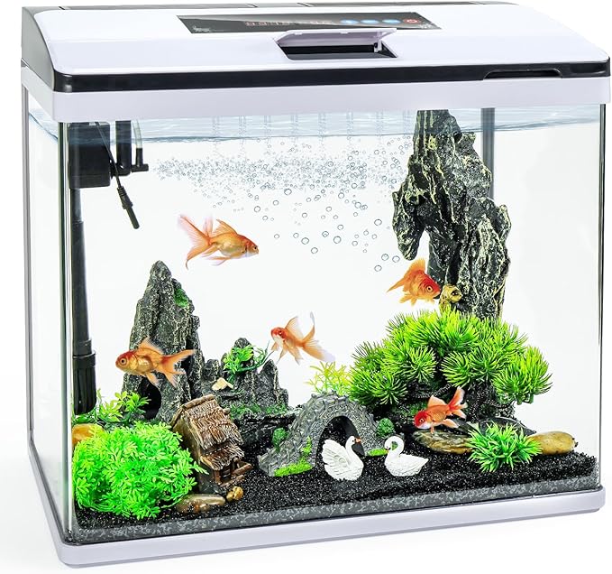 10 Gallon Glass Aquarium Fish Tank Starter Kit with Temperature and Time Display for Betta Fish Featuring Crystal Clear 360° Viewing, Eco-Cycle Filtration, Air Pump