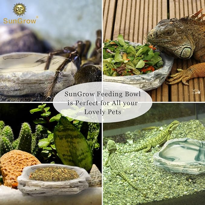 SunGrow Small Hermit Crab Feeding Bowl, for Turtle, Leopard & Crested Gecko, Ball Python, Durable, Multifunctional Decor, Serve as Climbing Toy or Drinking Bowl