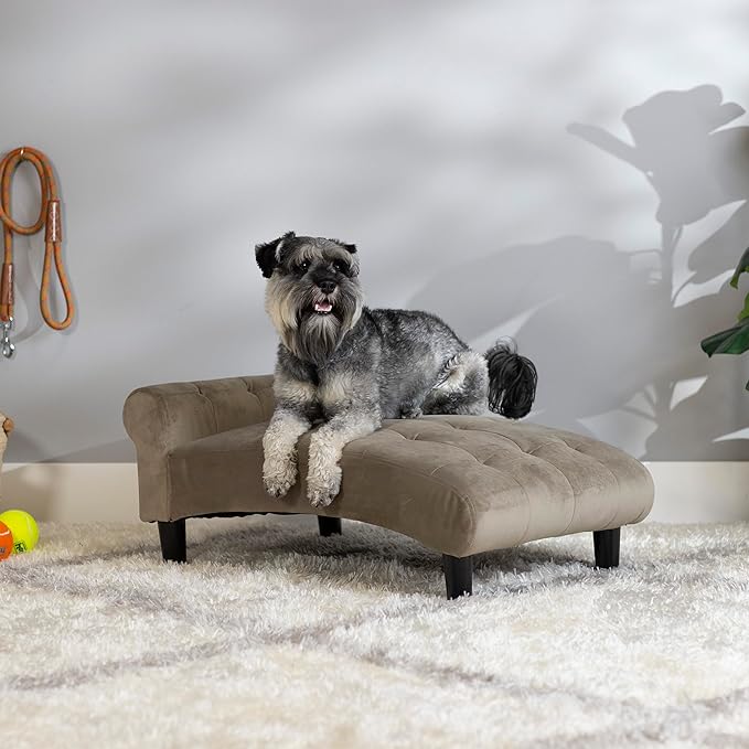 Paws & Purrs Modern 21" Wide Pet Chaise Lounge Bed for Small to Medium Dog or Cat
