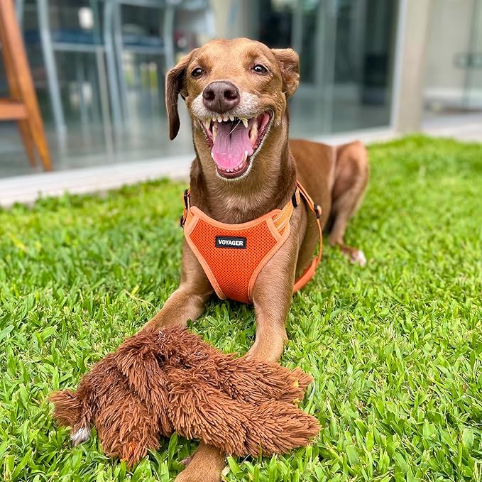 Best Pet Supplies Voyager Adjustable Dog Harness Leash Set with Reflective Stripes for Walking Heavy-Duty Full Body No Pull Vest with Leash D-Ring, Breathable All-Weather - Harness (Orange), XL