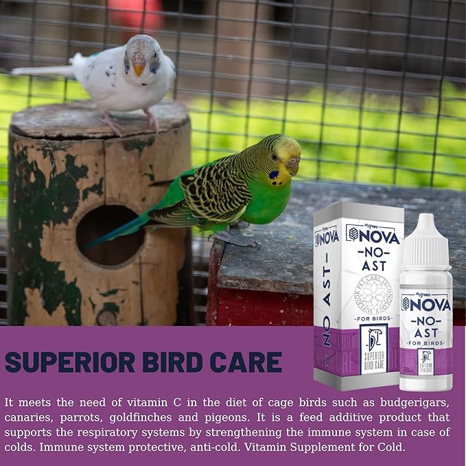 VHD MyBird Nova No-Asthma for Cage Birds - for Budgerigars, Domestic Canary, Parrots, Goldfinches and Pigeons, Big and Little Cage Birds, Vitamin Supplement for Cold 2 Pack - 60 ml 2 Fl Oz