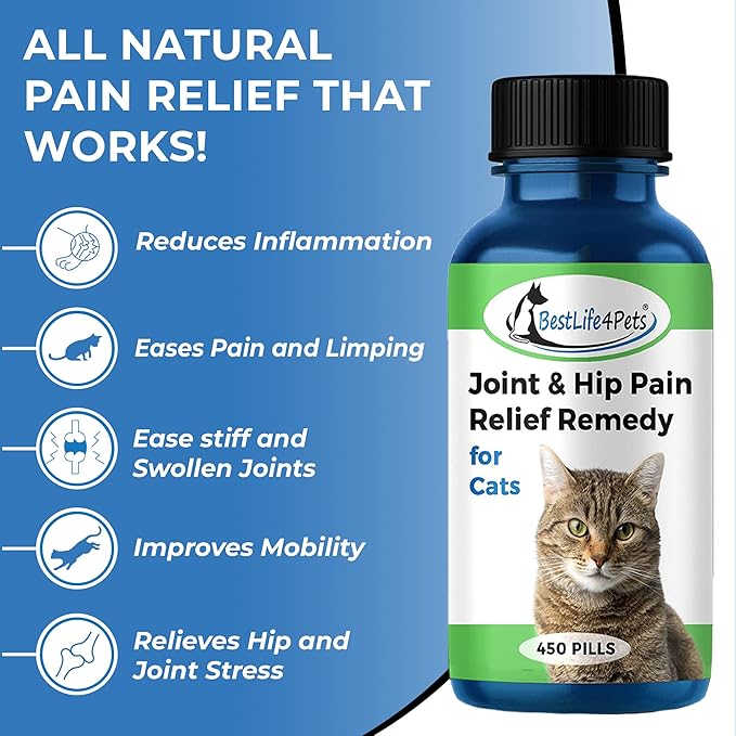 BestLife4Pets Cat Hip and Joint Supplement - Relief from Pain, Inflammation, and Injuries - Improve Mobility - No Odor or Taste - All Natural Easy to Use and Swallow - Pills