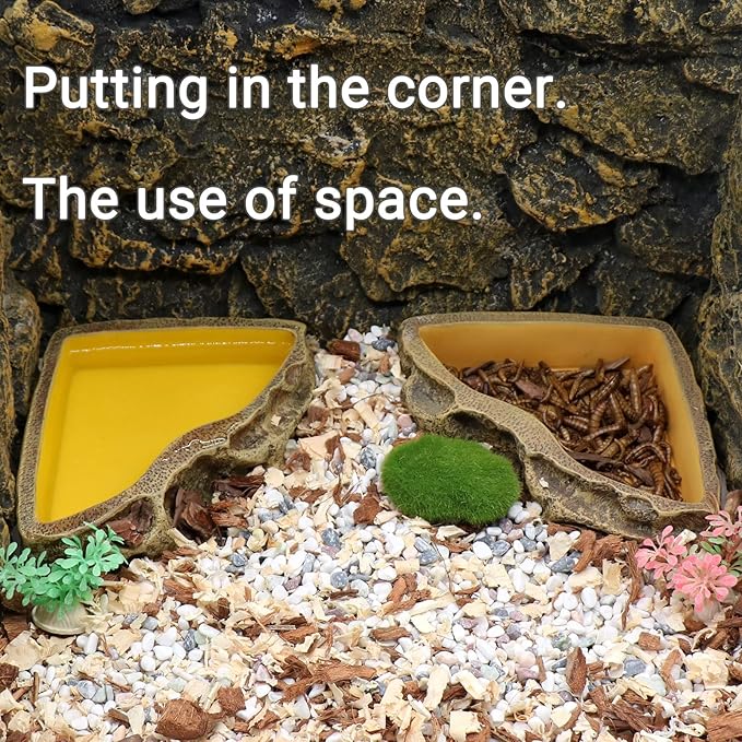 Reptile Feeder Resin Bowl Amphibian Reptile Bowl for Reptile Lizard Gecko Bearded Dragon Turtle