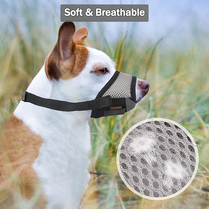 Dog Muzzle Anti Biting Barking and Chewing with Comfortable Mesh Soft Fabric and Adjustable Strap, Suitable for Small, Medium and Large Dogs(Gray Base,L)