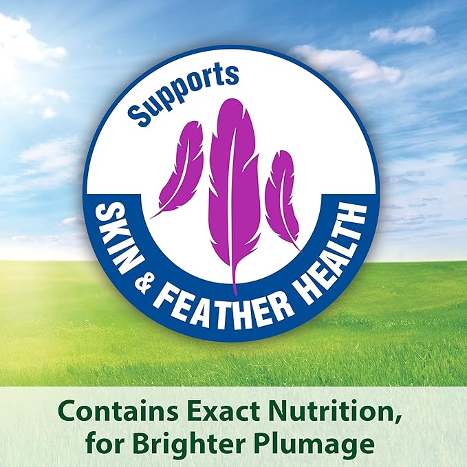 Kaytee Forti-Diet Pro Health with Safflower Pet Parrot Food, 4 lb (Pack of 2)