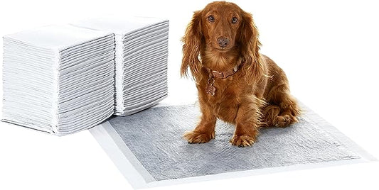 Amazon Basics Dog and Puppy Pee Pads with 5-Layer Leak-Proof Design and Quick-Dry Surface for Potty Training, Odor-Control Carbon, Regular Size, 22 x 22 Inch - Pack of 80, Gray