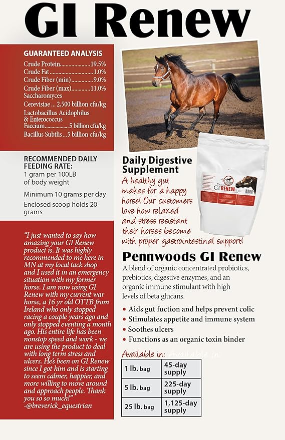 GI Renew, Probiotics for Equine, Immune and Appetite Stimulation, Prebiotics, Digestive Enzymes | Horse Supplement Providing Ulcer Relief and Organic Toxin Binder, 5 LB Pouch