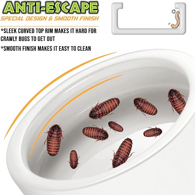 Reptile Food Dish Bowl - Anti-Escape Ceramic Worm Water Dish Feeder for Mealworm, Superworm, Dubia Roaches, Lizard, Leopard Gecko, Bearded Dragon, Chameleon, Skink, Tegu, Snake (Large, White)