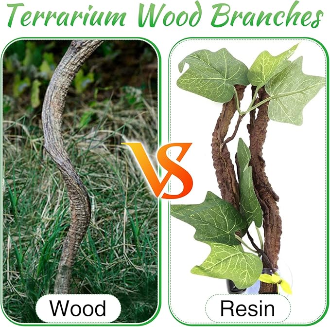 Reptile Branch Decor Snake Climbing Wood Branches Lizard Habitat Decorations Terrarium Natural Forest Tree Trunk Ornament for Bearded Dragon Geckos Chameleon Frog 6 Pcs - S