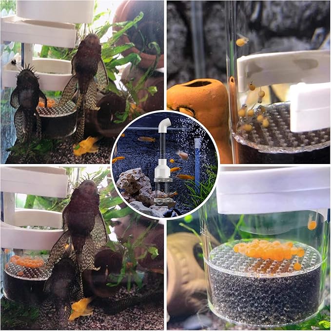 Fish Egg Incubator Tumbler Aquarium Cichlids Fish Hatchery with Aquarium air Pump，Isolation Fish Breeding Box, Small Fish net and Small Aquarium tweezer