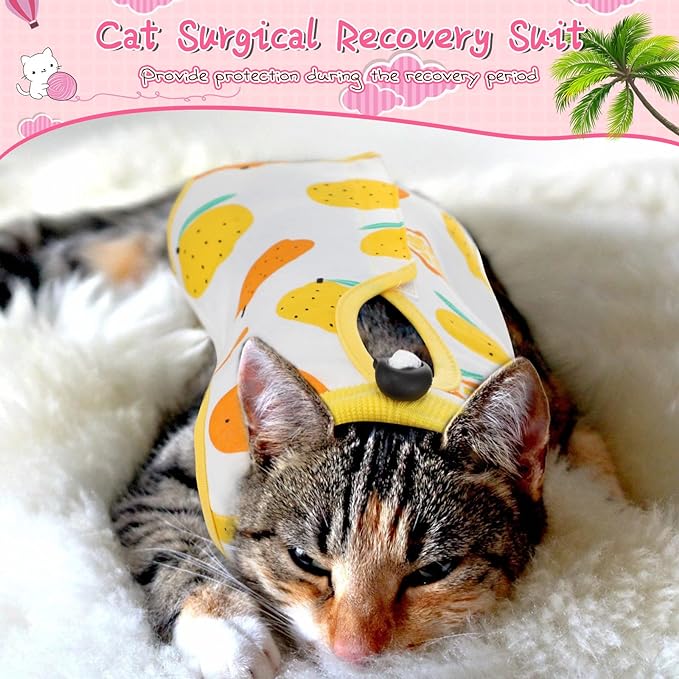 3 Pieces Cat Recovery Suit Kitten Recovery Suit E-Collar Alternative for Cats and Dogs Abdominal Skin Anti Licking Pajama Suit (Fruit Pattern, Small)