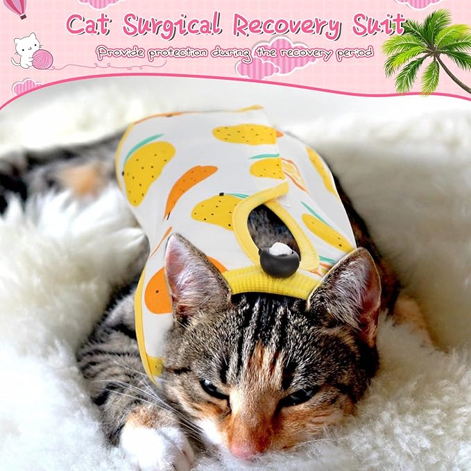 3 Pieces Cat Recovery Suit Kitten Recovery Suit E-Collar Alternative for Cats and Dogs Abdominal Skin Anti Licking Pajama Suit (Fruit Pattern, Medium)