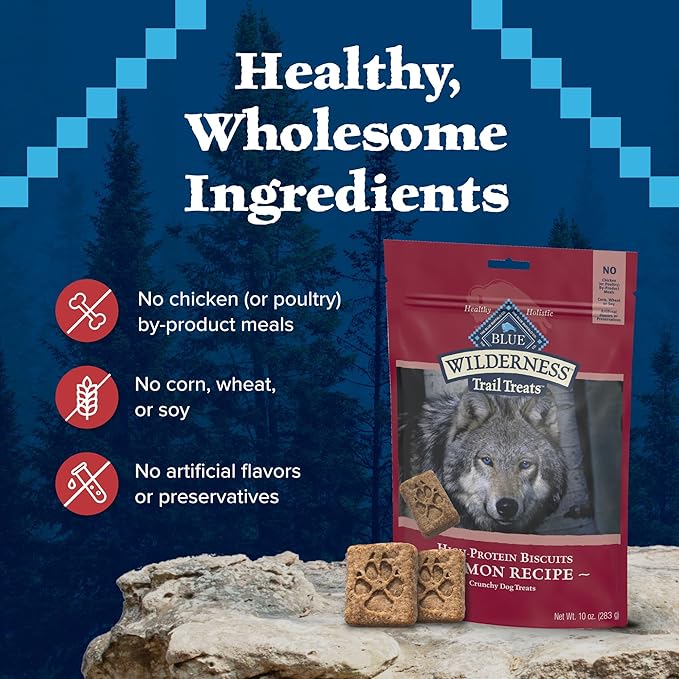 Blue Buffalo Wilderness Trail Treats High Protein Grain Free Dog Biscuits Crunchy Dog Treats, Salmon Recipe, 10-oz Bag