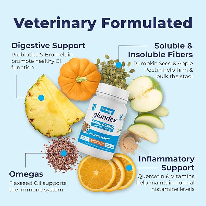 Glandex Dog & Cat Anal Gland Fiber Supplement Vegan Powder 2.5oz with Pumpkin & Digestive Enzymes – Vet Recommended Healthy Bowels & Digestion - Boot The Scoot - by Vetnique Labs