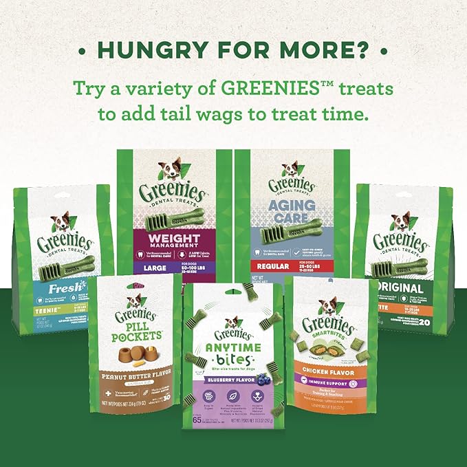 Greenies Gingerbread Flavor Regular Size Veterinarian-Recommended for Dental Care, Dog Treat Chews, Great Holiday Dog Stocking Stuffers, Limited Edition, 12 oz. Pack of 12