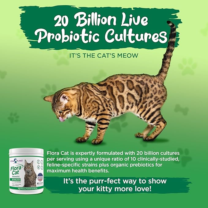 Vital Planet - Flora Cat Probiotic Powder Supplement with 20 Billion Cultures and 10 Diverse Strains High Potency Probiotics for All Cats for Feline Digestive and Immune Support 30 Scoops 3.92 oz