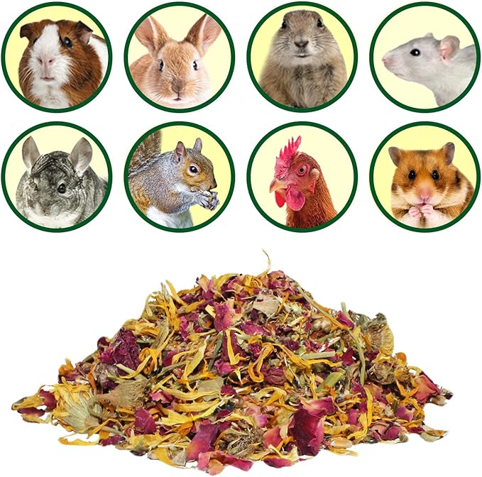 Exotic Nutrition Herbivore Treats 6 Pack - Healthy Assortment Small Animal Pet Treat - Squirrels, Guinea Pigs, Rabbits, Chinchillas, Prairie Dogs, Degus, Hamsters, Gerbils, Herbivores