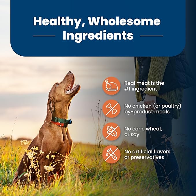 Blue Buffalo Life Protection Formula Large Breed Adult Dry Dog Food, Promotes Joint Health and Lean Muscles, Made with Natural Ingredients, Chicken & Brown Rice Recipe, 15-lb. Bag