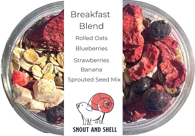 Fruity Breakfast Blend Hermit Crab Dry Food - High Protein & Nutrient Blend Diet of Rolled Oats, Blueberries, Strawberry, Banana, Sprouted Seeds Mix - Aquatic Pet Snack Treat | 65g