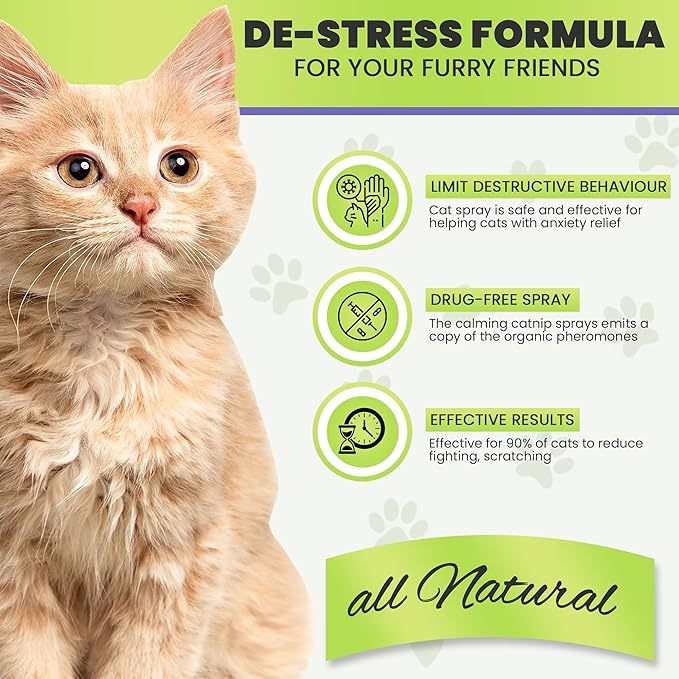 Diffuser Cat Relaxant Refill Plus Additional Bottle Calming Spray - Refills Compatible with All Major Brand diffusers. Comfort Zone, ThunderEase, Relaxivet and Others