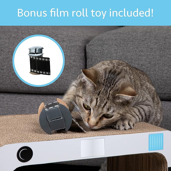 Kitty City 3-in-1 Camera Scratcher Combo
