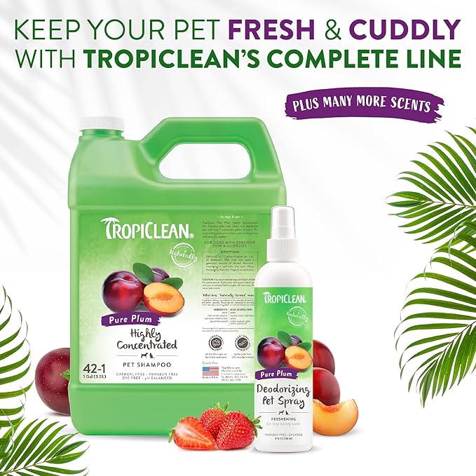 TropiClean Pure Plum Dog Perfume Spray Long Lasting | Naturally Derived Odor Removing Dog Deodorizing Spray | Cat Friendly | Made in USA | 8 oz.