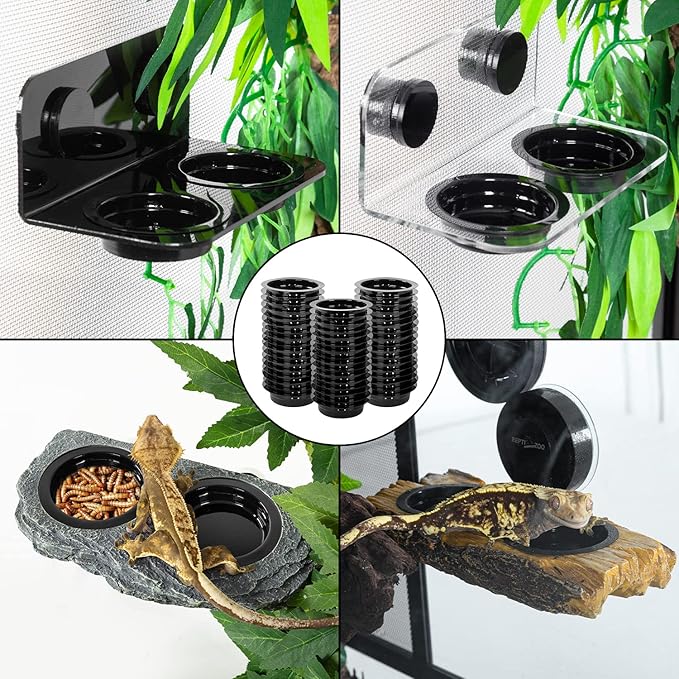WACOOL Magnetic Reptile Ledge, Acrylic Gecko Feeding Ledge with 6PCS Cups, Reptile Food Water Feeder Dish for Geckos Iguana Chameleon Pets (Cups)