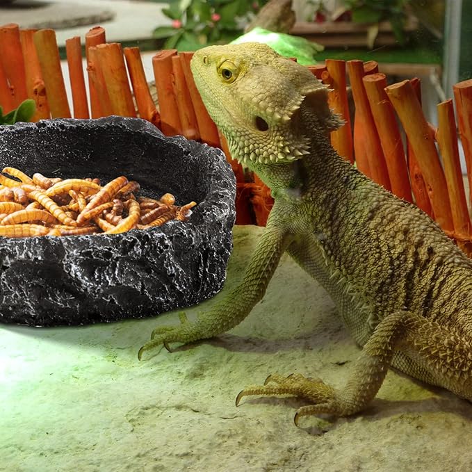 Reptile Bowl - 2Pcs Reptile Water Dish with Feeding Tongs Reptile Feeding Reptile Feeding Bowls Reptile Water Bowl Reptile Food Dish for Lizard Tortoise