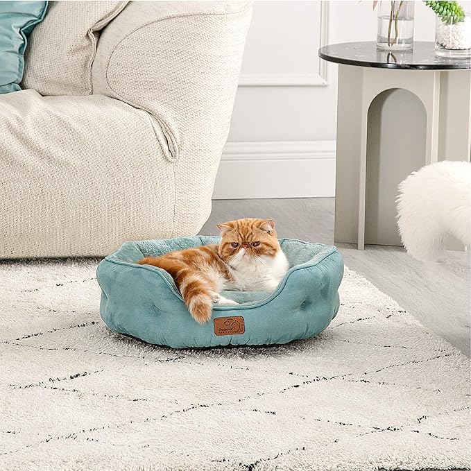 Bedsure Dog Beds for Small Dogs - Round Cat Beds for Indoor Cats, Washable Pet Bed for Puppy and Kitten with Slip-Resistant Bottom, 20 Inches, Washed Blue