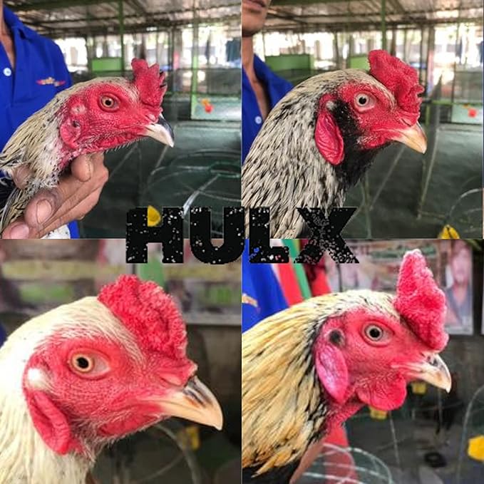 POWER PLUS 100 TABLETS, Fast Increasing Energy Formula Rooster Booster Vitamins Health Chicken Supplement for Good Health, Build Muscle, Blood, Power Feed Poultry Bird Fighting Gamecocks Hen Food