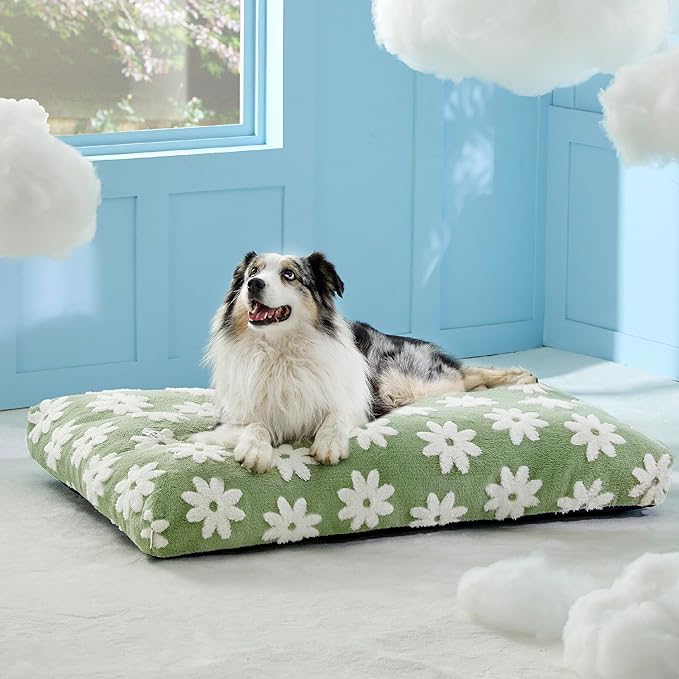 Lesure XLarge Dog Bed-Thick Shredded Chopped Foam Pet Bed, Dog Bed Indoor with Removable Cover, Cute Modern Fuzzy Plush & Anti Slip Bottom(41'x28', Green)