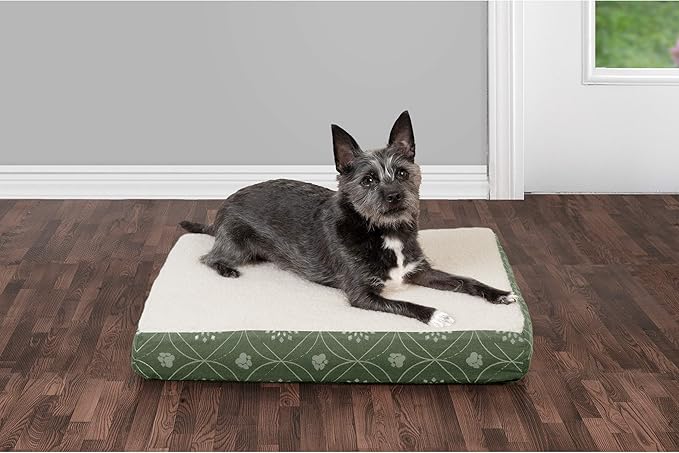 Furhaven Orthopedic Dog Bed for Small Dogs w/ Removable Washable Cover, For Dogs Up to 20 lbs - Sherpa & Flannel Paw Print Deluxe Mattress - Jade Green, Small