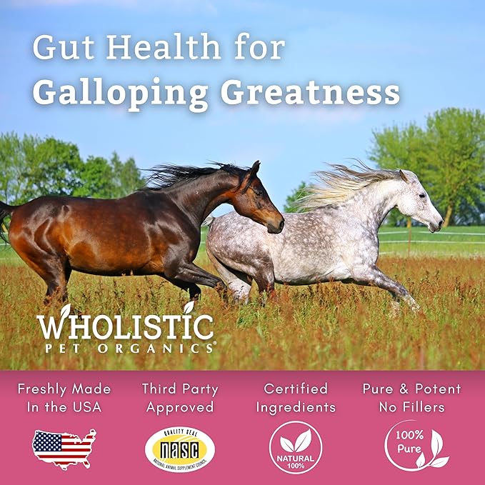 Wholistic Pet Organics Digest-All Plus: Horse Probiotics Powder - 1 Lb - Equine Probiotics and Prebiotics with Digestive Enzymes - Equine Digestive Supplements for Gas, Constipation and Gut Health