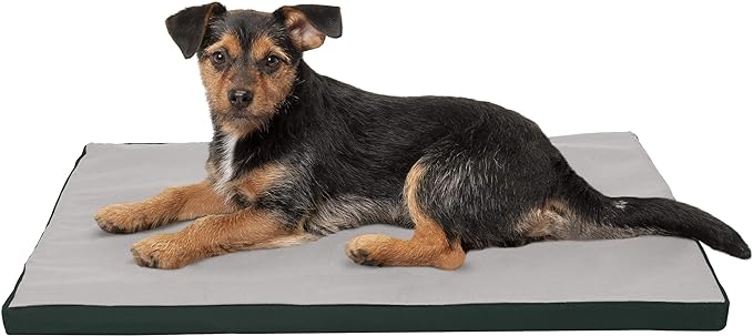 Furhaven Water-Resistant Dog Bed for Small Dogs w/ Removable Washable Cover, Perfect for Crates & Kennels, For Dogs Up to 25 lbs - Two-Tone Reversible Crate Pad - Green/Gray, Small