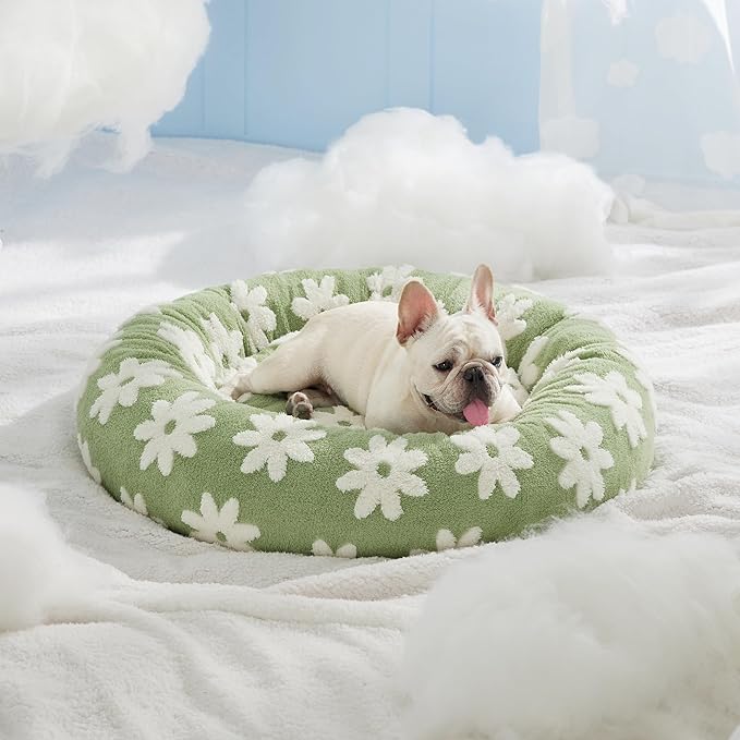 Lesure Donut Small Dog Bed - Round Cat Beds for Indoor Cats Calming Pet Beds, Cute Modern Beds with Jacquard Shaggy Plush & Anti Slip Bottom, 30 Inch, Green