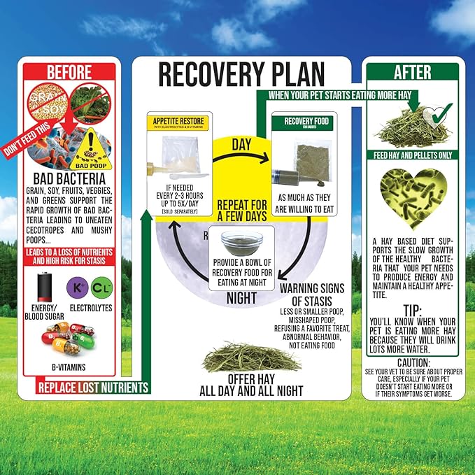 Sherwood Pet Health Rabbit Emergency kit and Bulk Recovery Food (Large kit)