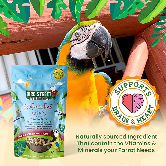 Parrot Food Sample Pack Cooks in as Little as 3 to 15 min | All Natural & Organic Grains and Legumes, Healthy Fruits, Vegetables, and Spices - No Fillers or Additives