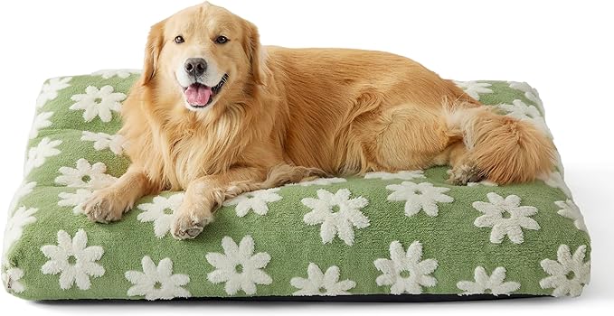 Lesure Extra Large Dog Bed-Thick Shredded Chopped Foam Pet Bed, Dog Bed Indoor with Removable Cover, Cute Modern Fuzzy Plush & Anti Slip Bottom(44x32', Green)