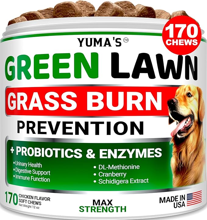 Dog Urine Neutralizer for Lawn - 170 Chews - Advanced Green Grass Savers for Dog Urine - Dog Pee Grass Neutralizer Supplement - Green Lawn Treats for Dogs with Probiotics and Digestive Enzymes