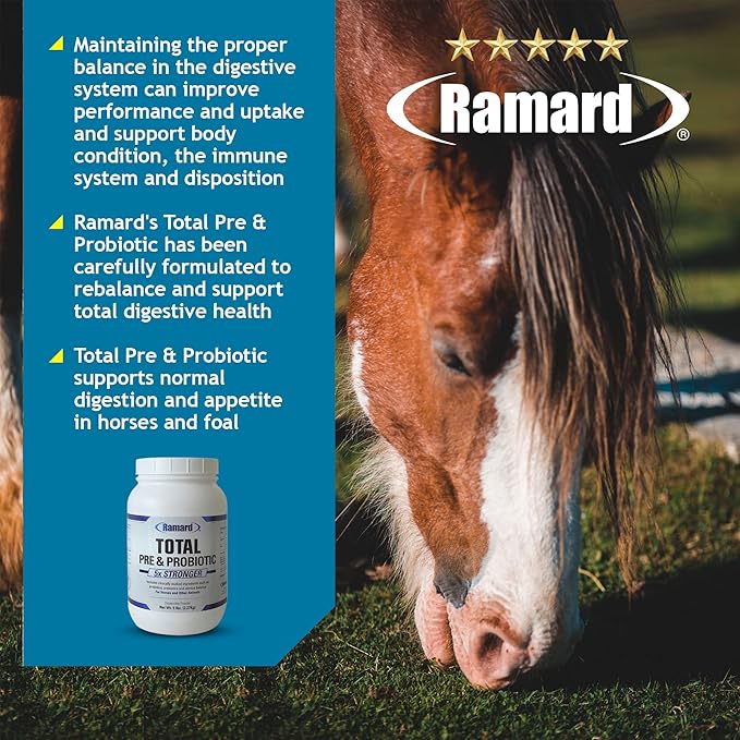 Total Prebiotic & Probiotic Equine Formula - Natural Digestive Supplement for Horses Optimal Gut Health, Nutrient Absorption, Foal Support Pro & Pre Biotics for Livestocks and Horse 5 lbs Jar