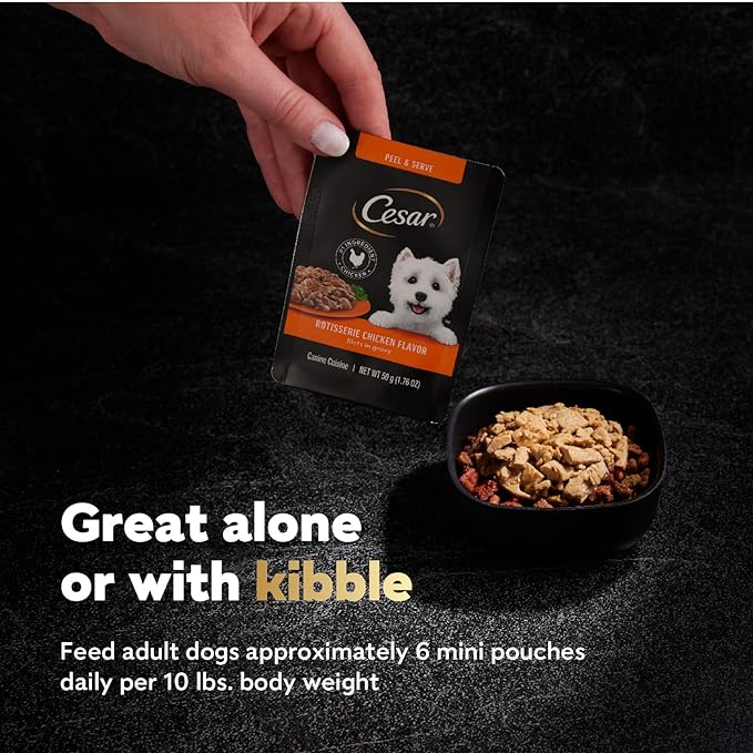 Cesar Filets in Gravy Wet Dog Food Filet Mignon Flavor, Rotisserie Chicken Flavor, and Wood-Grilled Chicken Flavor Variety Pack, 1.76 oz. Mini-Pouches, 40 Pack