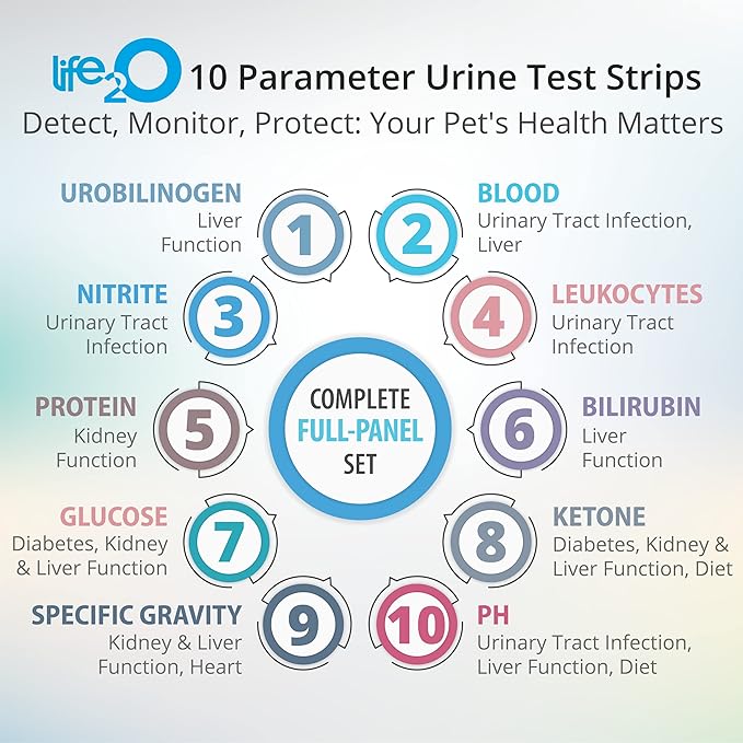 10-Parameter Cat & Dog Urine Test Strips 60ct, Cat & Dog UTI Test Kit, Diabetes Testing for Diabetic Pets, Urinalysis Reagent Strips: Glucose, Specific Gravity, pH, Ketone, Protein & More.