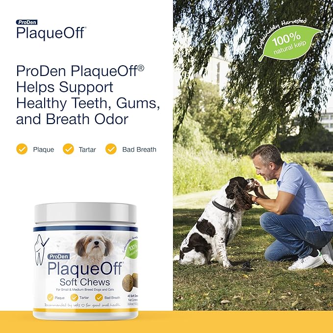 ProDen PlaqueOff Soft Chews with Natural Kelp - for Small & Medium Breed Dogs & Cats - Supports Normal, Healthy Teeth, Gums, and Breath Odor in Dogs & Cats - 45 Soft Chews