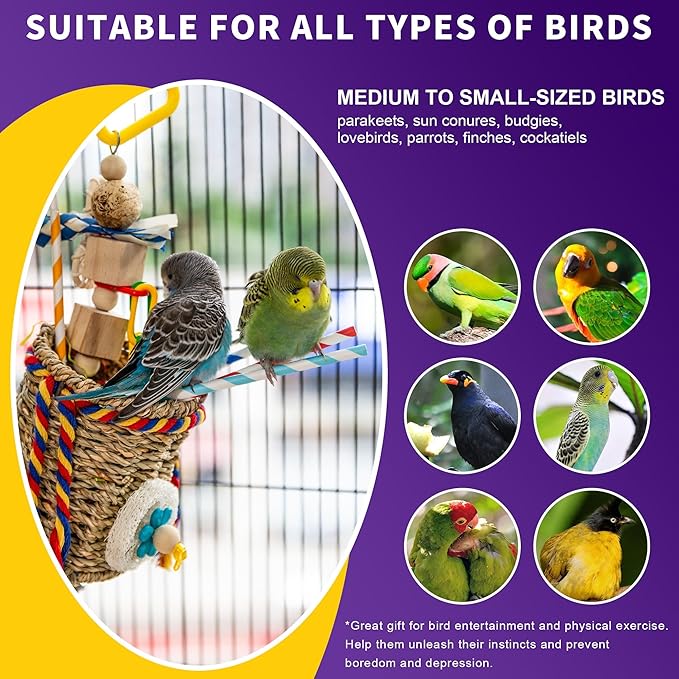 Bird Parakeet Foraging Toys 2PCS - Parrot Cage Accessories Stuff, Natural Woven Climbing Perch Nest, Chewing Toys for Budgerigars, Conure, Cockatiel, Finch, Lovebirds, and Medium, Small Birds