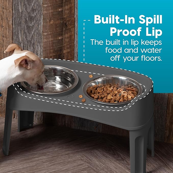 IRIS USA Elevated Dog Bowls, Adjustable Height, 2 Thick 64 oz Stainless Steel Bowls, Spill-Proof with Raised Outer Rim, Durable Made in USA Plastic, Easy Assemble, 2 Heights 4.63" or 12.25" Dark Gray