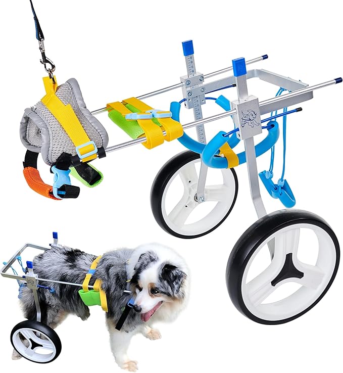 Adjustable Dog Wheelchair for Back Legs| Pet Wheelchairs with Disabled Hind Legs Walking|Stabel & Light Weight (7-Size) (M)