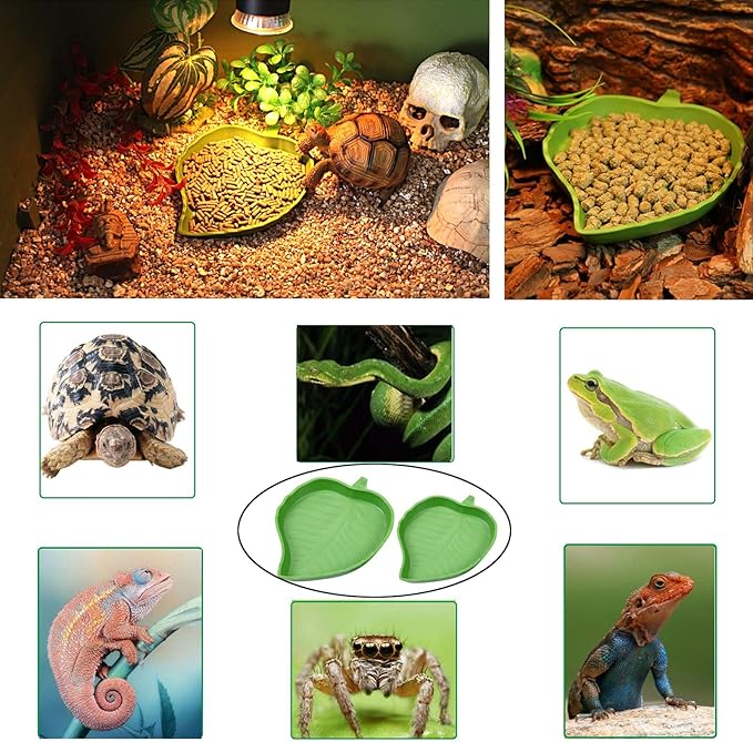 3pcs Tortoise Food Dish with Ramp and Basking Platform Leaf Tortoise Water Food Bowls Reptile Water Dish Turtle Reptile Pool for Amphibians Gray