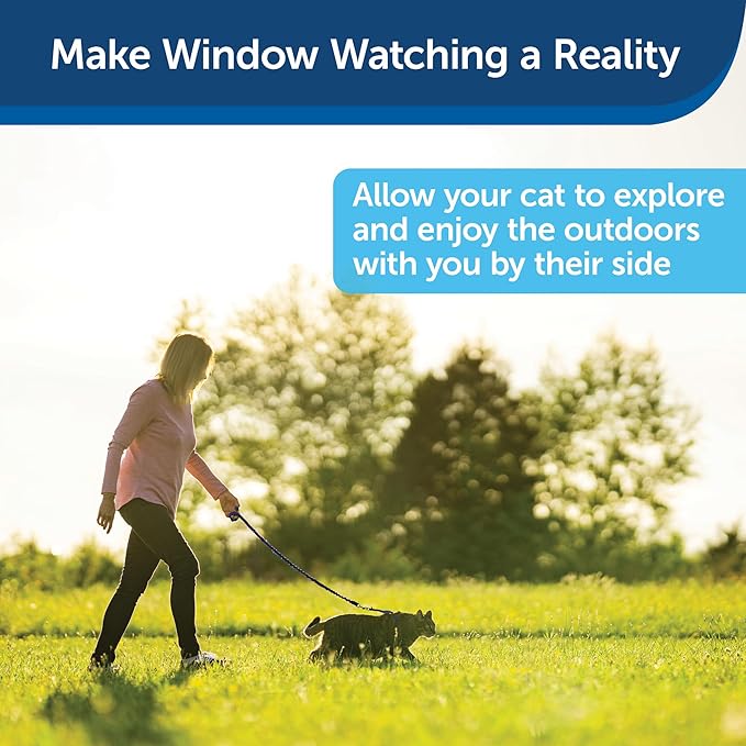 PetSafe Come with Me Kitty Harness and Bungee Leash - Medium, Royal Blue