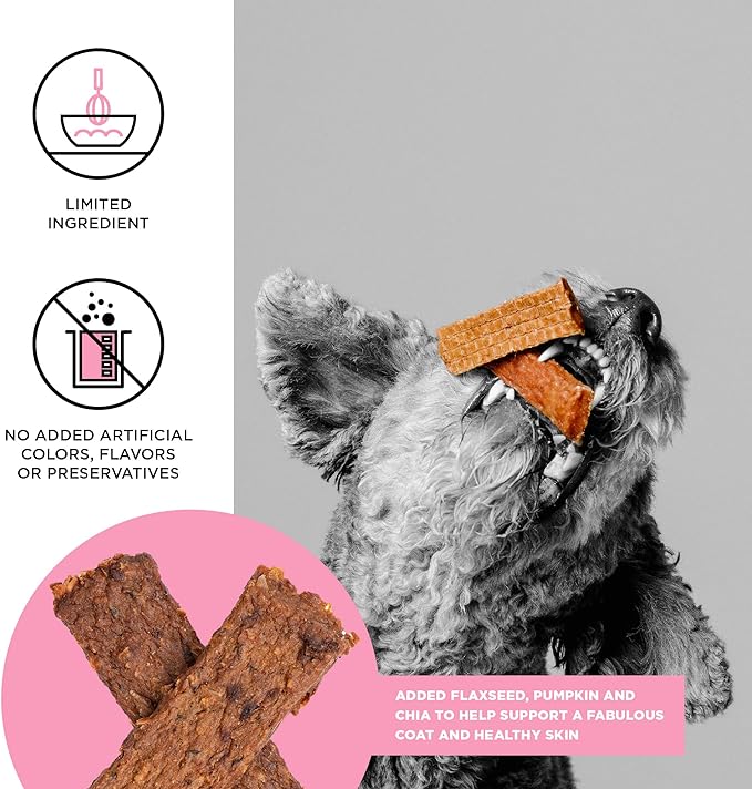 BIXBI Skin & Coat Support Salmon Jerky Dog Treats, 10 oz - USA Made Grain Free Dog Treats - Antioxidant Rich to Support Shiny, Full Bodied Coats - High in Protein, Whole Food Nutrition, No Fillers